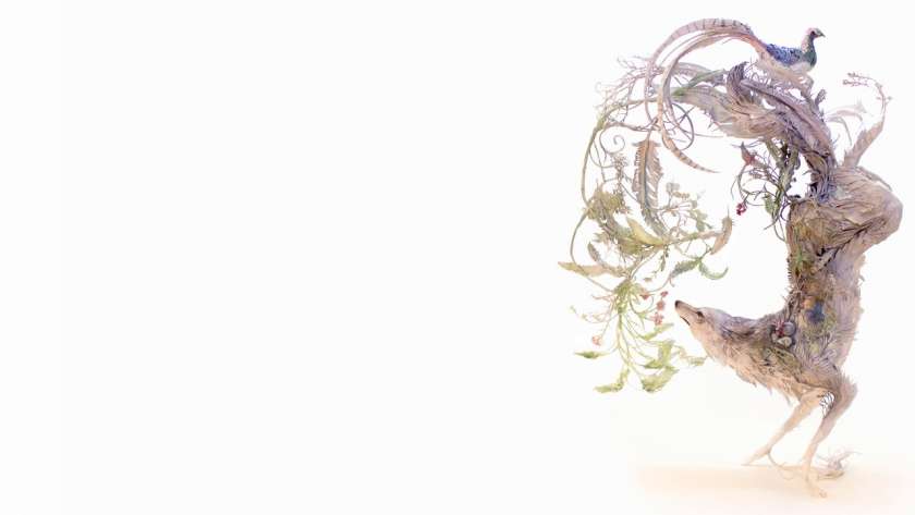 Ellenj Jewett のキツネの作品。